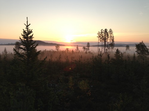 Har man inte ett rungande ståndskall att njuta av finns ju alltid den härliga naturen. Strålande morgon i september!