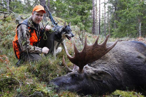 Stolt husse och glad hund med jubileumsälgen, 50:e i backen för Fällestrrands Birka