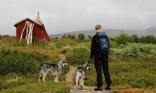 En tur upp mot marsfjället hör liksom till och vi hade en riktigt fin dag, även om regnet såg ut att första den till en början.