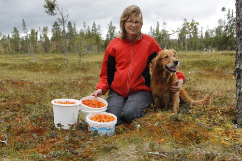 Det gick snabbt att fylla några hinkar